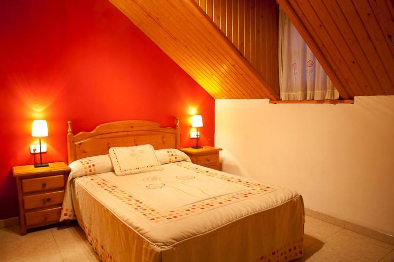Apartamentos Mazcaray Bielsa Pokoj fotografie