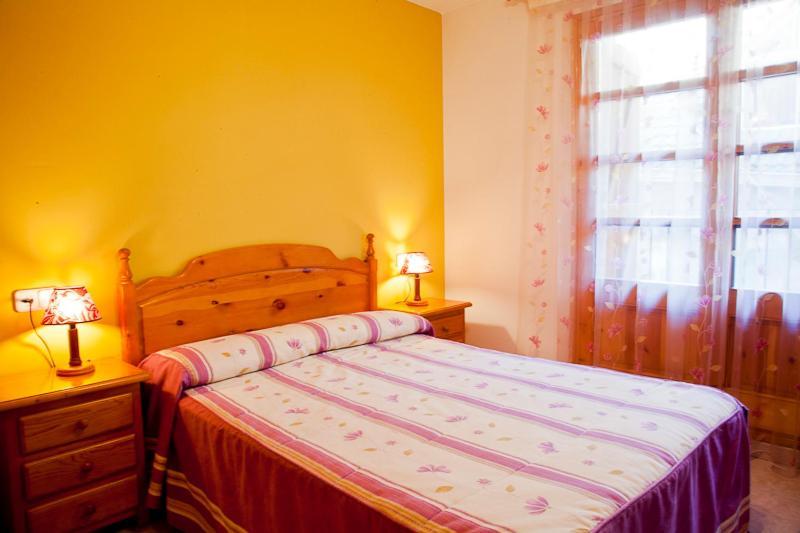 Apartamentos Mazcaray Bielsa Exteriér fotografie